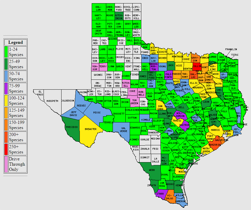 Texas Counties Map Map Of Texas Counties Tx County Map Vrogue 2791