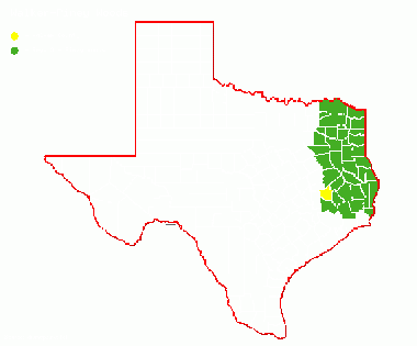 Walker-Piney Woods.gif