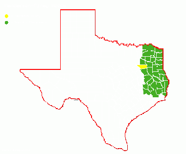 Henderson-PIney Woods.gif